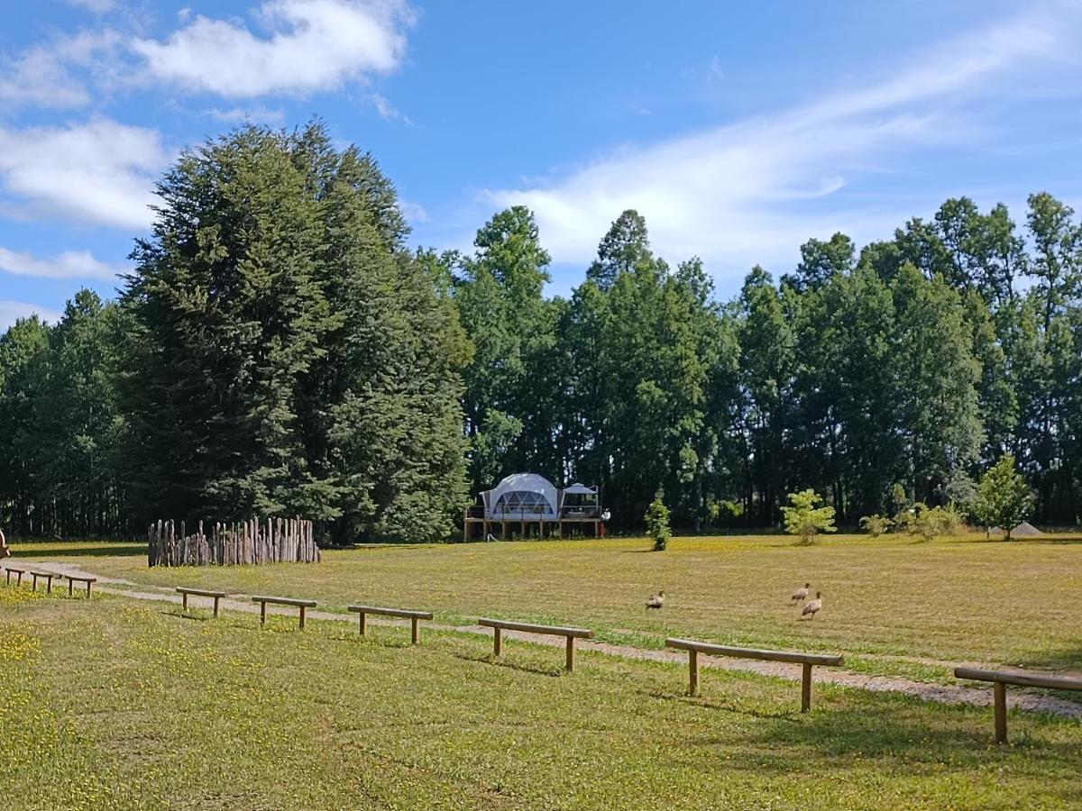 Domo Refugio Casa de férias Villarrica